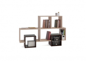 ���� ������ ��� 1 (����� ����/��� ������� � ��������